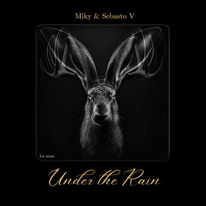 Cover of Under the Rain